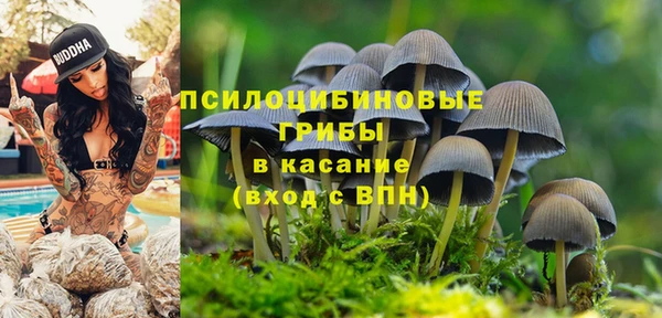 спиды Алексеевка