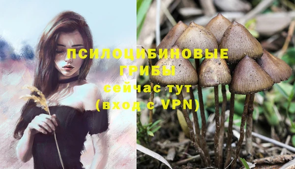 спиды Алексеевка